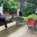 涢水街道：志愿服務(wù)激發(fā)新活力