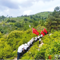 紅綠共生 茶香萬(wàn)里 ——隨縣草店鎮(zhèn)以干部能力提升寫(xiě)好“茶文章”走好“振興路”