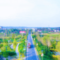 S333周新線榮登全市路域環(huán)境整治樣板路創(chuàng)建榜首