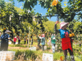 荒坡地上種出“甜蜜”希望 ——廣水市十里街道觀音村千畝梨園見聞