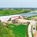 繪就鎮(zhèn)域新畫卷 ——廣水市駱店鎮(zhèn)推動(dòng)鄉(xiāng)村振興的實(shí)踐