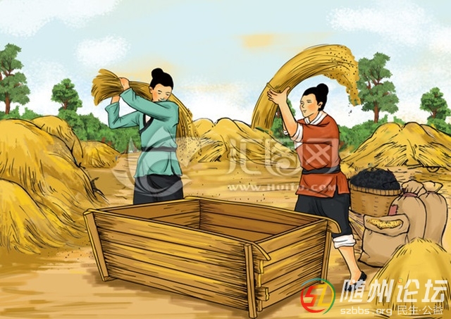 稻谷堆.jpg